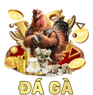 77bet đá gà 77bet